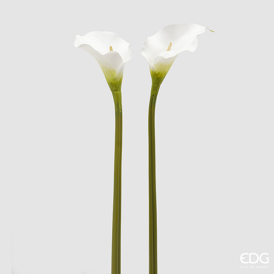 EDG Fiore Artificiale CALLA DEA RAMO SR H 77 CM 1 PZ