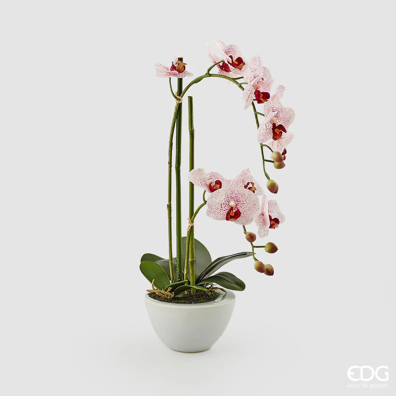 EDG Fiore Artificiale Orchidea Phalaenopsis Real con Vaso H50 cm Rosa