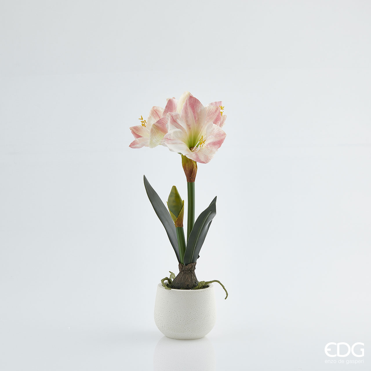 EDG Fiore Artificiale Orchidea Real con Vaso Rosa Crema