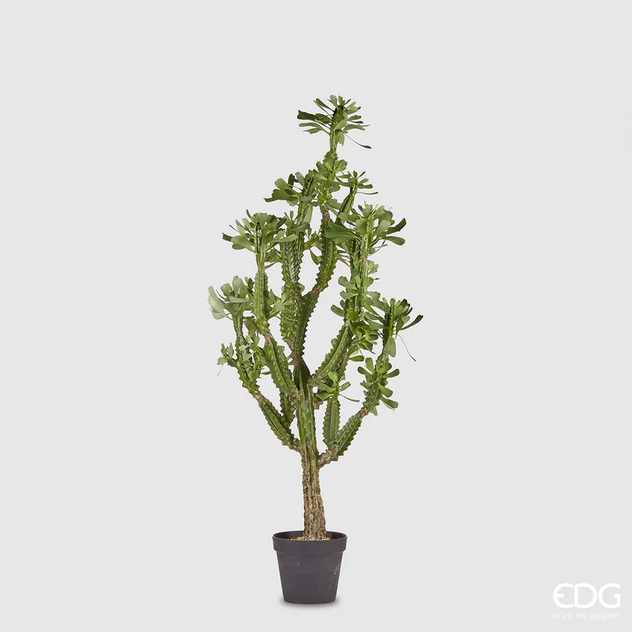 EDG Pianta di Cactus West con Vaso h 89 cm