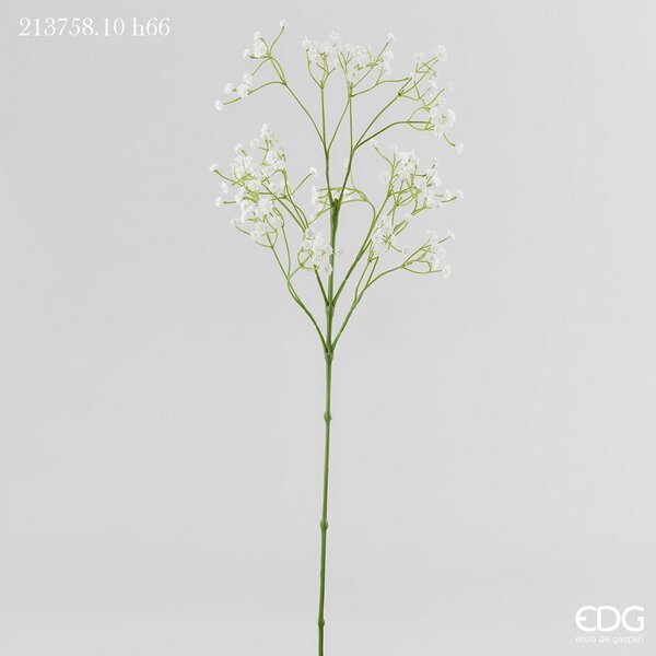 EDG RAMO GYPSOPHILA OLIS H 66 CM