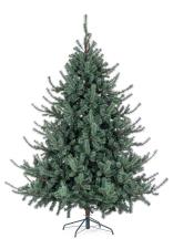 BIZZOTTO ALBERO SERRONE GLAUCO H240-2322RAMI